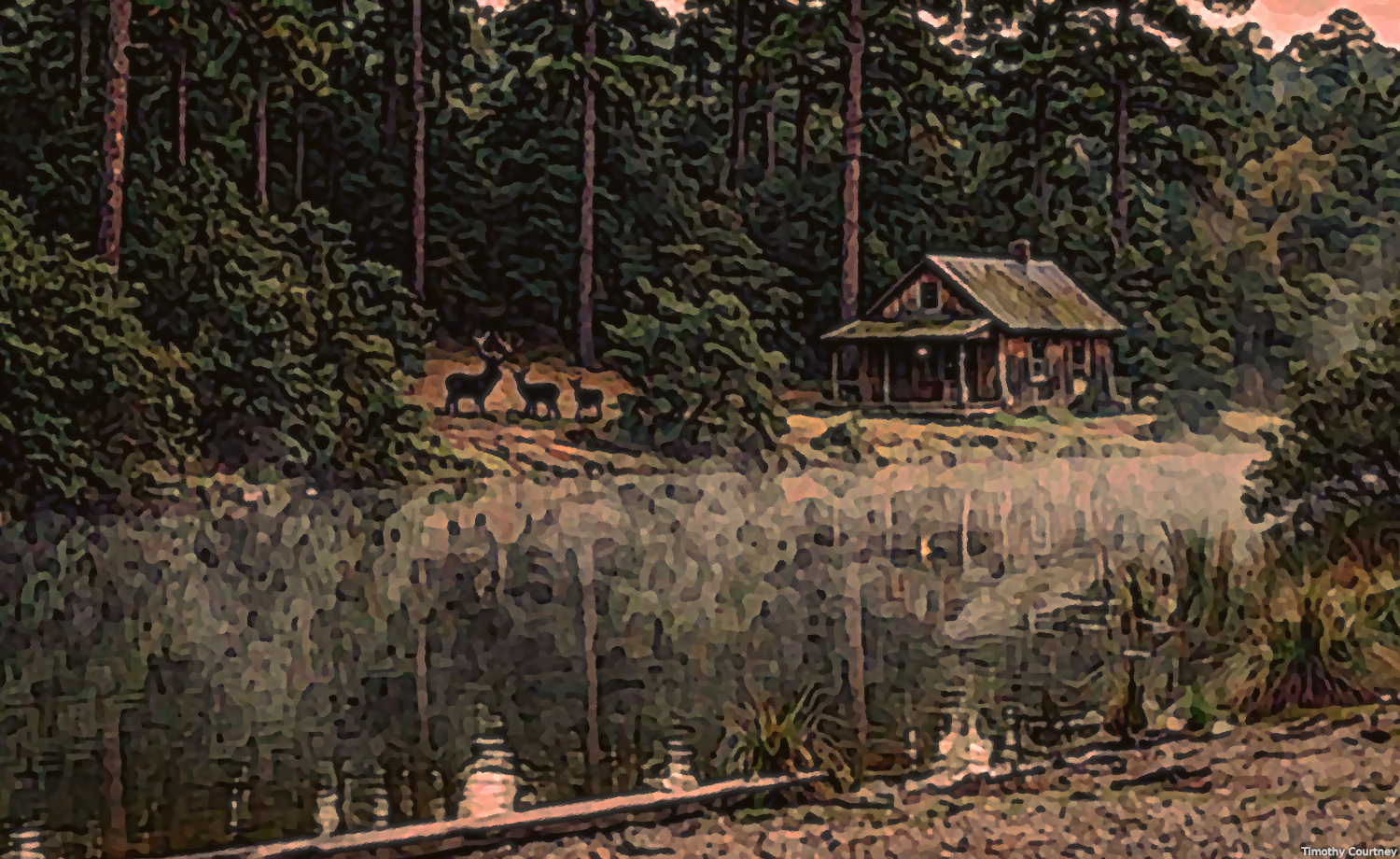 Cabin in the Woods is a painting by Timothy Courtney of an old cabin near a pond in a vibrant wooded area, a family of deer nearby.