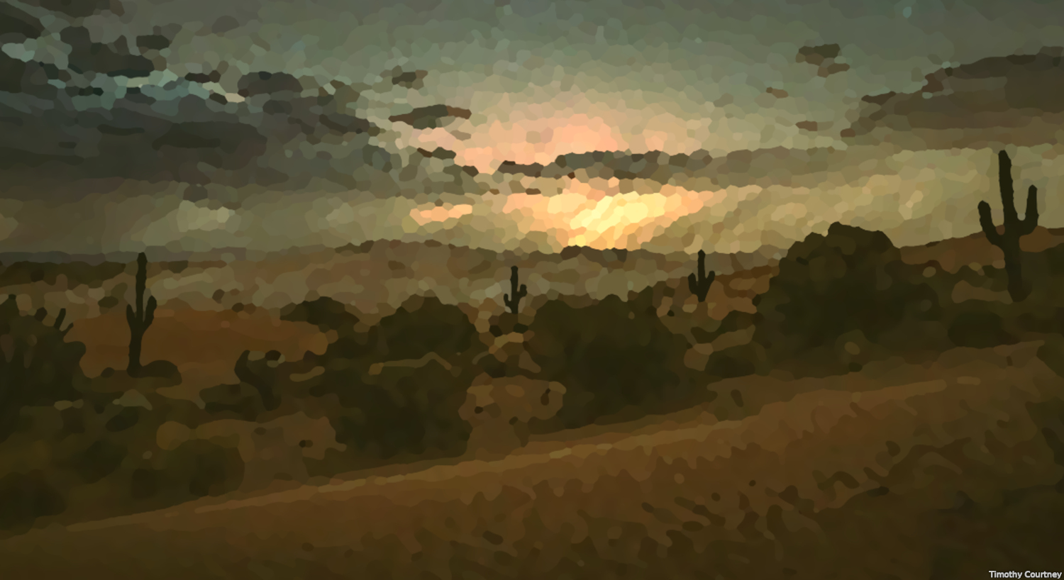 Desert Night is a painting that shows a sandy desert as night begins. Cacti are scattered across the land, and the scene is filled with bright, colorful shades.