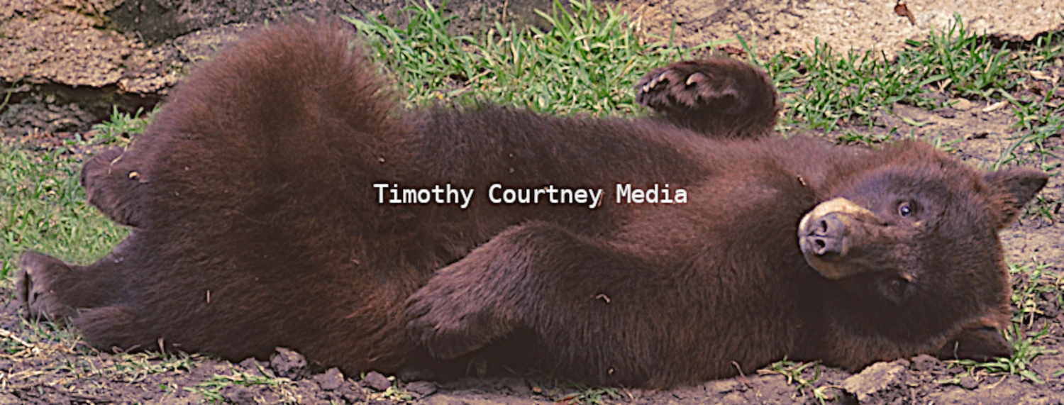 Timothy Courtney Media is overlayed on an original photo by the photographer.