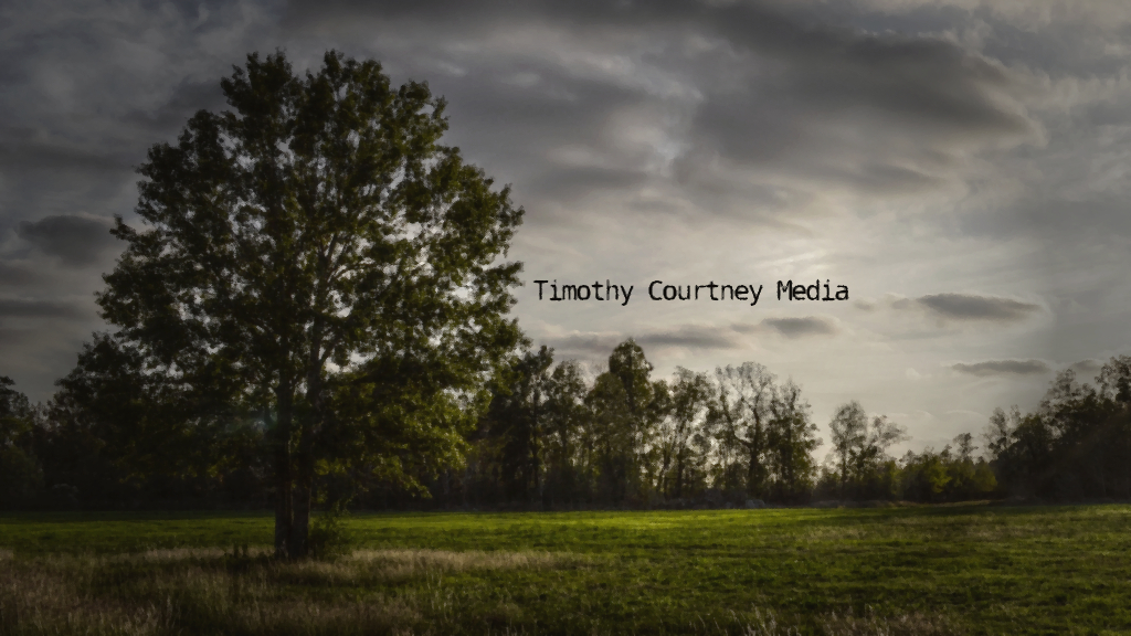 A moody and beautiful open field has a single old tree standing under amazing clouds.