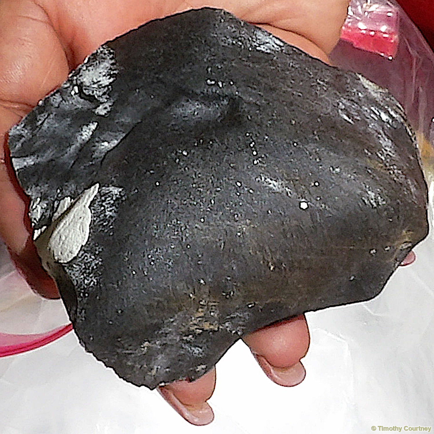 This is a close view of the fusion crust of the chondrite recovered, which ripped into a Houston home in March 2026.