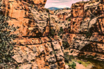 The Canyons by Timothy Courtney is painting of a extremely deep winding canyons that seem dangerously desolate. There is some water flowing at the bottom and bird circles above as a mountain lion watches from atop a cliff.