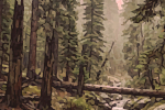 Werewolfland is a painting by Timothy Courtney of a fantasy land where werewolves may live amongst beautiful tall trees in a flourishing forest.